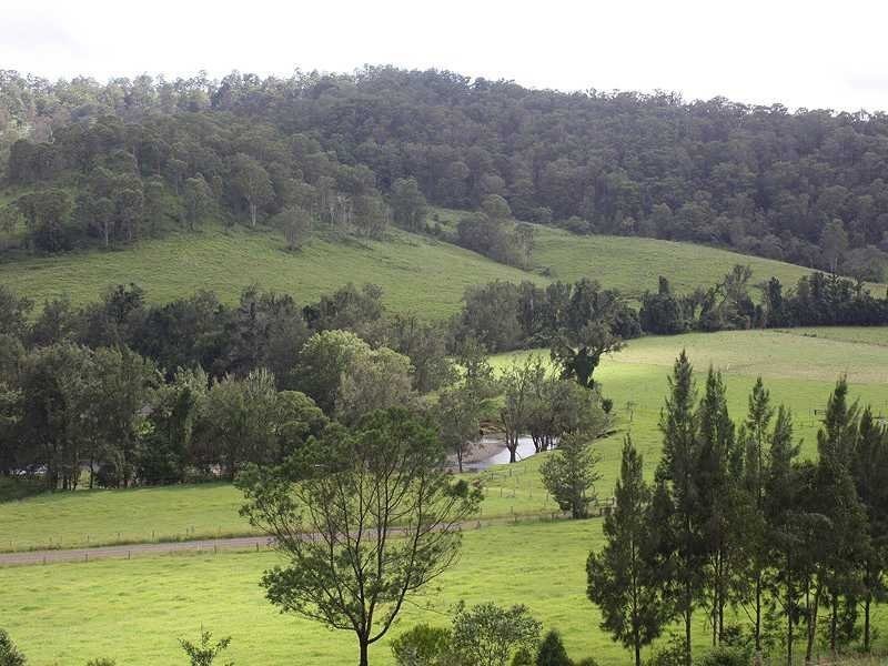 659 Eden Creek Via Upper Eden Creek, Kyogle NSW 2474