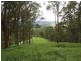 659 Eden Creek Via Upper Eden Creek, Kyogle NSW 2474