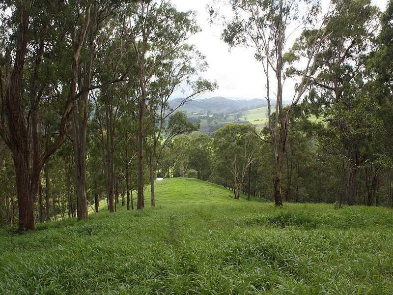 659 Eden Creek Via Upper Eden Creek, Kyogle NSW 2474