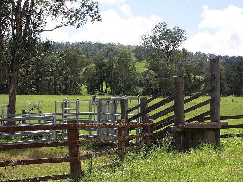 659 Eden Creek Via Upper Eden Creek, Kyogle NSW 2474
