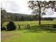 659 Eden Creek Via Upper Eden Creek, Kyogle NSW 2474