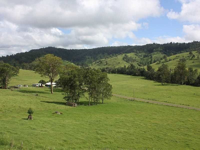 659 Eden Creek Via Upper Eden Creek, Kyogle NSW 2474