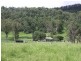 659 Eden Creek Via Upper Eden Creek, Kyogle NSW 2474