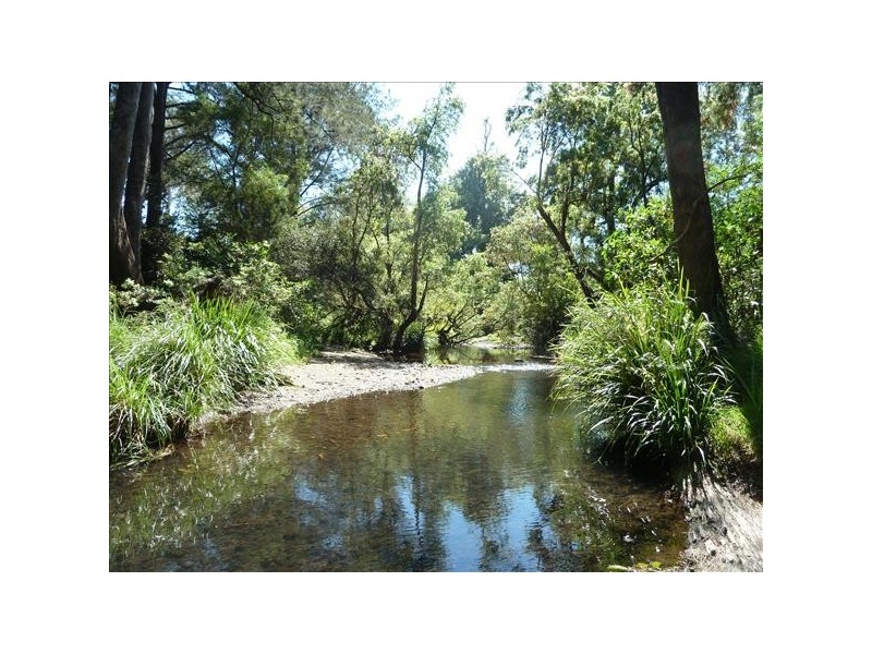 91 Eden Creek road, Eden Creek, Kyogle NSW 2474