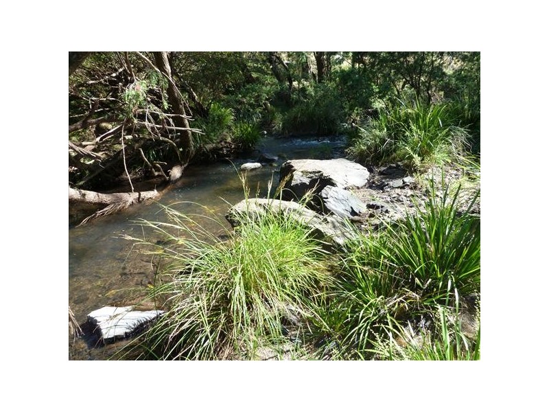 91 Eden Creek road, Eden Creek, Kyogle NSW 2474