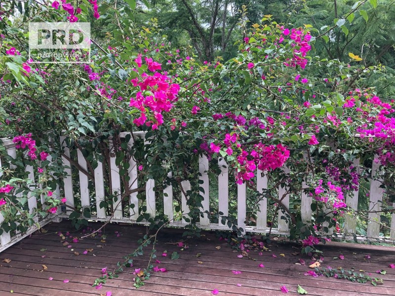 10 Edward Lane, Kyogle NSW 2474