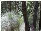 Kyogle NSW 2474