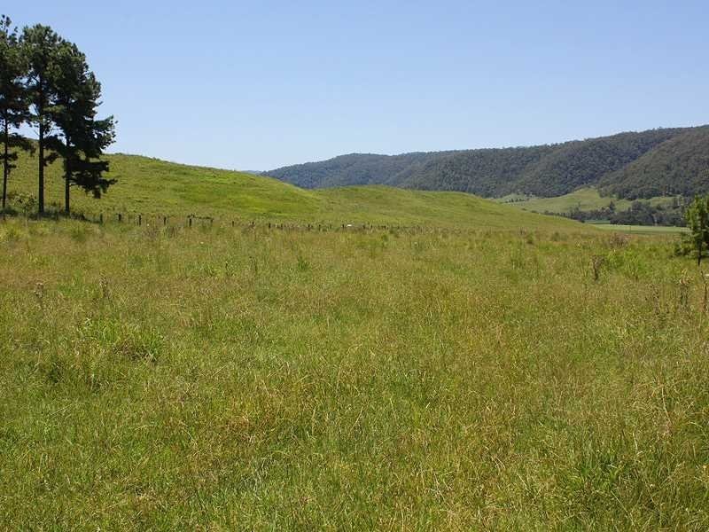 2151 Summerland Way Rukenvale Via, Kyogle NSW 2474