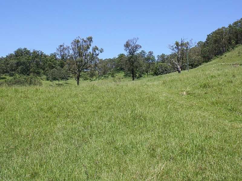 2151 Summerland Way Rukenvale Via, Kyogle NSW 2474