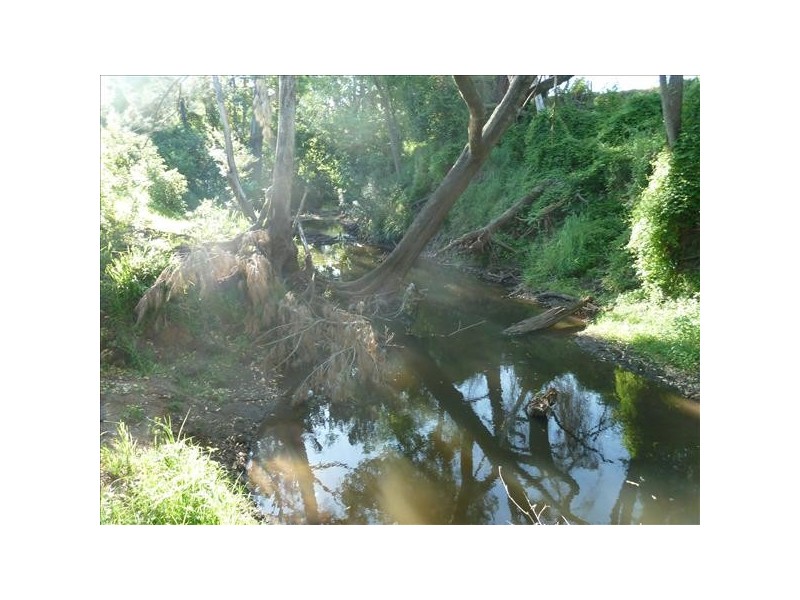 1//DP123442 Fawcetts Plains Rd, Kyogle NSW 2474