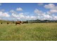310 Fawcetts Plain Road, Kyogle NSW 2474