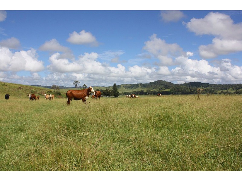 310 Fawcetts Plain Road, Kyogle NSW 2474