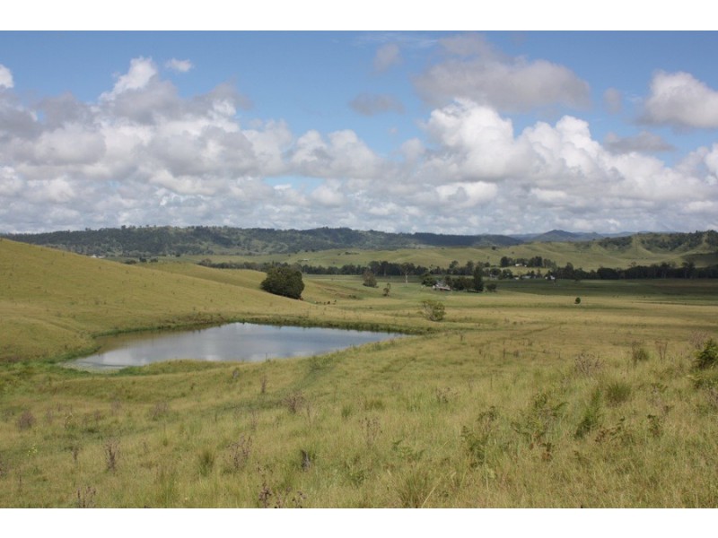 310 Fawcetts Plain Road, Kyogle NSW 2474