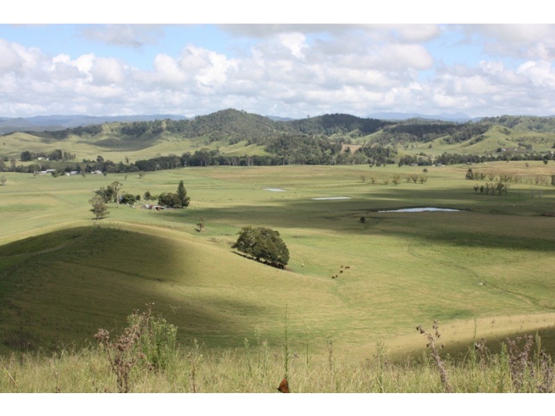 310 Fawcetts Plain Road, Kyogle NSW 2474