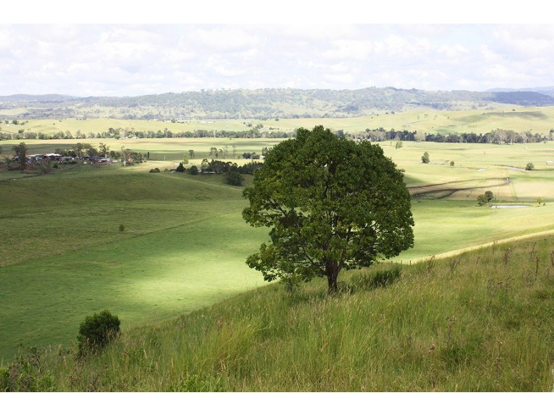 310 Fawcetts Plain Road, Kyogle NSW 2474