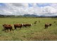 310 Fawcetts Plain Road, Kyogle NSW 2474