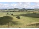 310 Fawcetts Plain Road, Kyogle NSW 2474