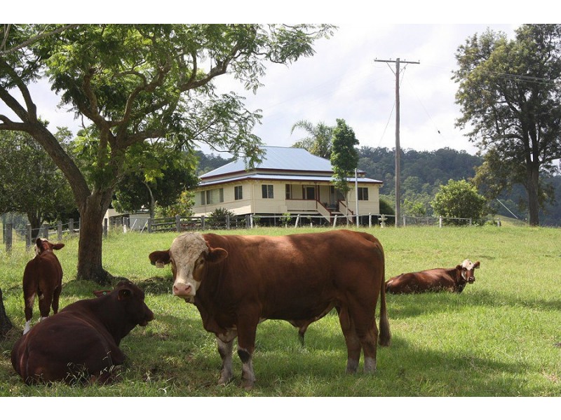 310 Fawcetts Plain Road, Kyogle NSW 2474