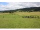 310 Fawcetts Plain Road, Kyogle NSW 2474