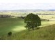 310 Fawcetts Plain Road, Kyogle NSW 2474