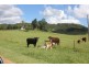 310 Fawcetts Plain Road, Kyogle NSW 2474