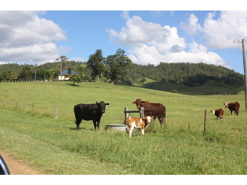 310 Fawcetts Plain Road, Kyogle NSW 2474