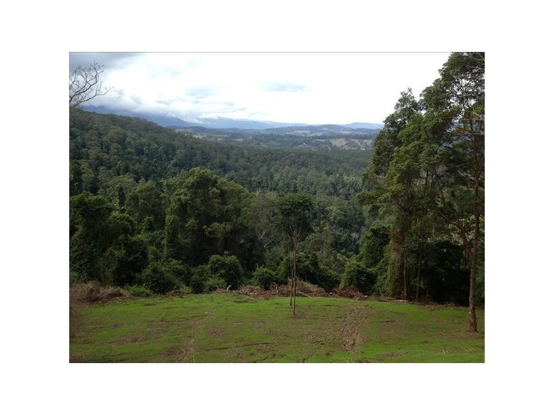 432 Sargents Road Cawongla Via, Kyogle NSW 2474