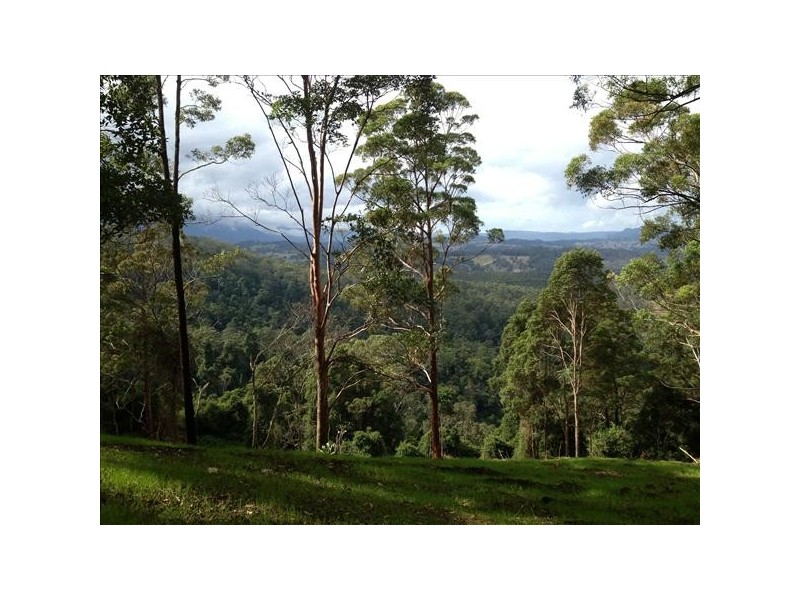 432 Sargents Road Cawongla Via, Kyogle NSW 2474