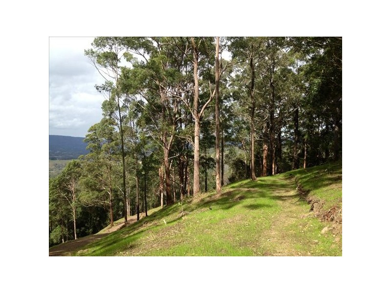 432 Sargents Road Cawongla Via, Kyogle NSW 2474