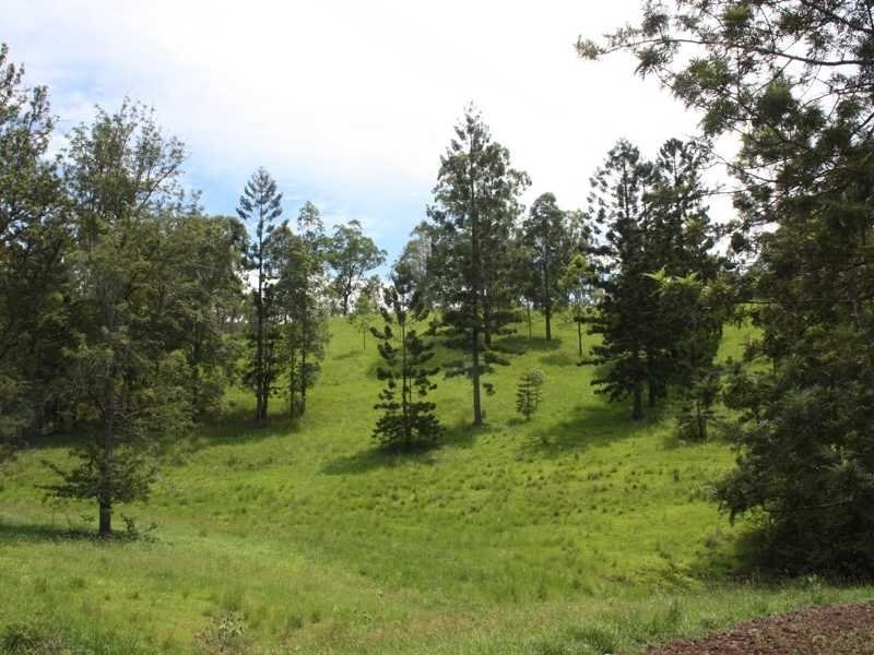 432 Sargents Road Cawongla Via, Kyogle NSW 2474