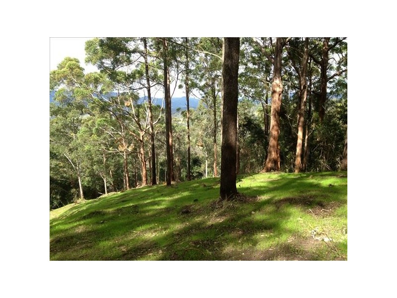 432 Sargents Road Cawongla Via, Kyogle NSW 2474