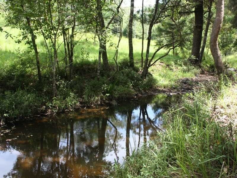 432 Sargents Road Cawongla Via, Kyogle NSW 2474