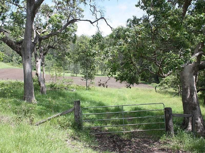 432 Sargents Road Cawongla Via, Kyogle NSW 2474