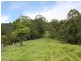 432 Sargents Road Cawongla Via, Kyogle NSW 2474