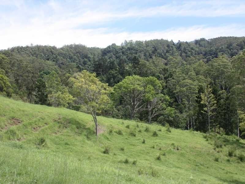 432 Sargents Road Cawongla Via, Kyogle NSW 2474