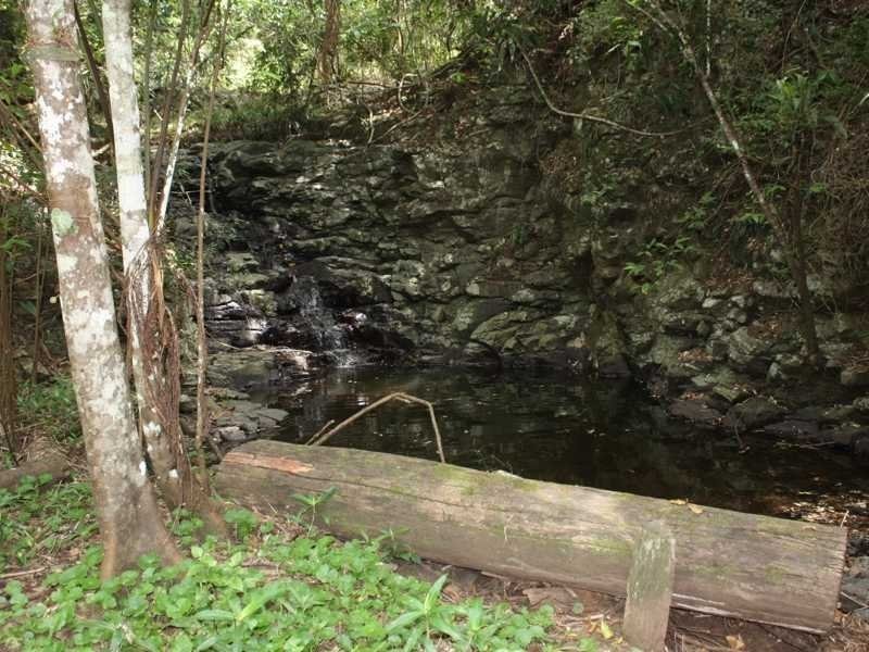 432 Sargents Road Cawongla Via, Kyogle NSW 2474