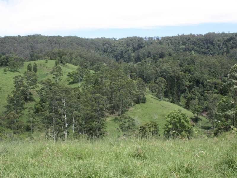 432 Sargents Road Cawongla Via, Kyogle NSW 2474