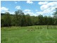 116 Newtons Road, Eden Creek Via, Kyogle NSW 2474
