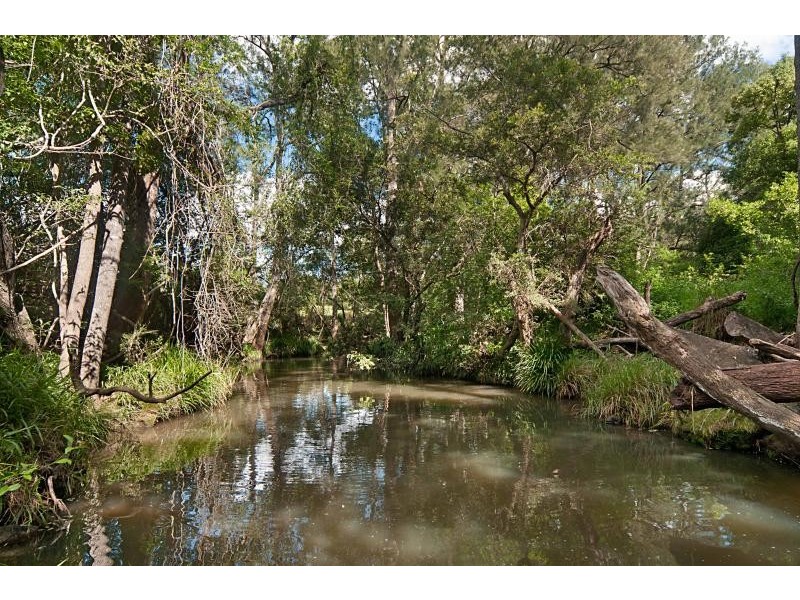 1716 Afterlee Road, Kyogle NSW 2474