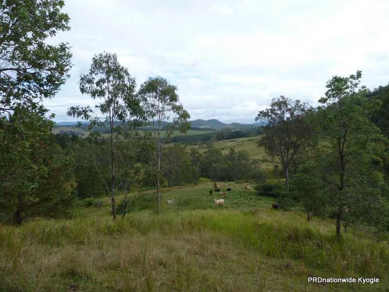 164 DP633369 Ettrick Road, Kyogle NSW 2474