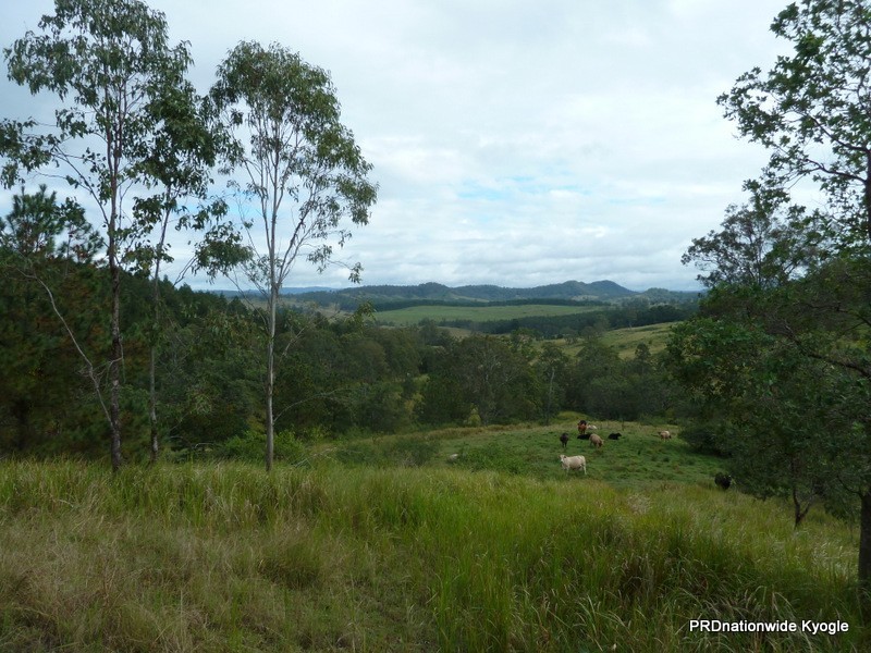 164 DP633369 Ettrick Road, Kyogle NSW 2474
