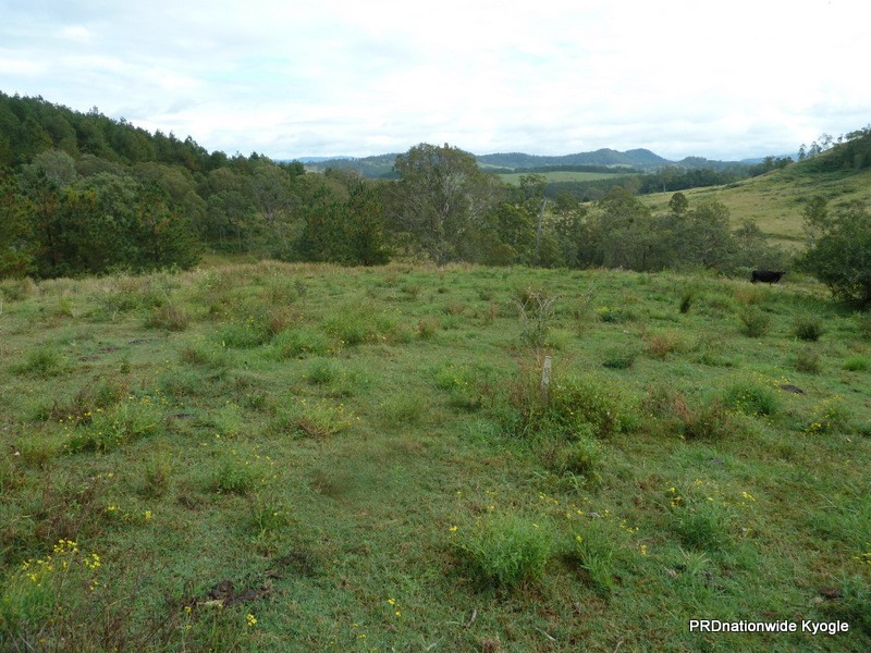 164 DP633369 Ettrick Road, Kyogle NSW 2474