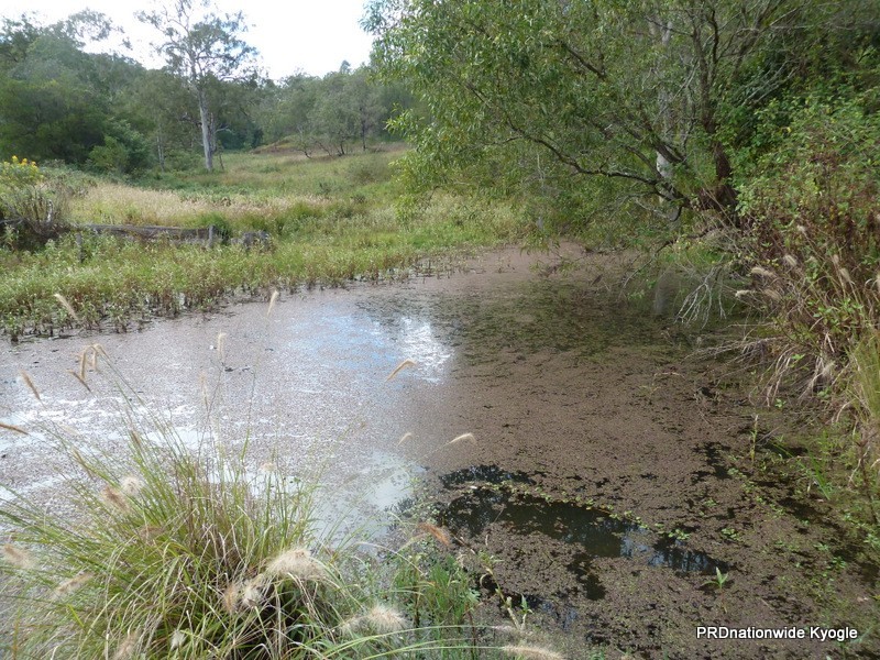 164 DP633369 Ettrick Road, Kyogle NSW 2474
