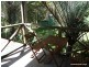 171 Runnymede Road, Kyogle NSW 2474