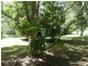 171 Runnymede Road, Kyogle NSW 2474