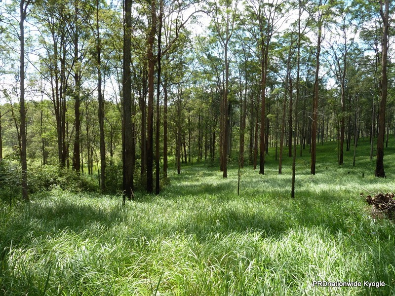 171 Runnymede Road, Kyogle NSW 2474