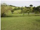 319 Ferndale Road, LYNCHS CREEK VIA, Kyogle NSW 2474
