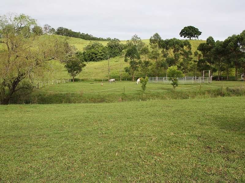 319 Ferndale Road, LYNCHS CREEK VIA, Kyogle NSW 2474