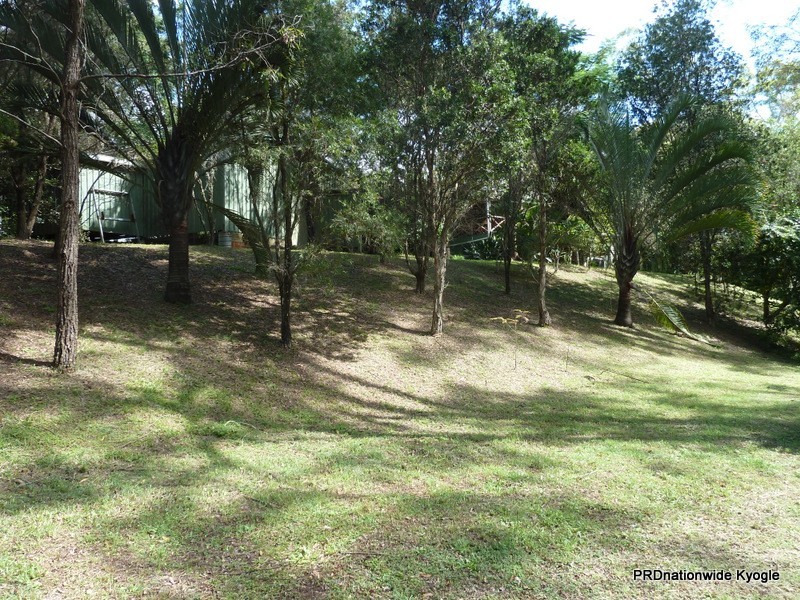 171 Runnymede Road, Kyogle NSW 2474