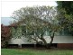 174 Summerland Way, Kyogle NSW 2474